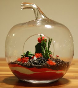 Elma Terrarium 3 kakts orta boy  Ankara Kkesat 14 ubat sevgililer gn iek 