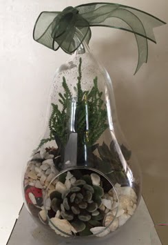 Orta boy armut terrarium 3 kakts  Ankara Kkesat gvenli kaliteli hzl iek 