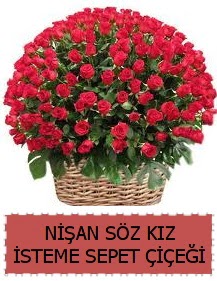 Kz isteme sz nian iei Sepeti 91 gll  Ankara iek gnderme sitemiz gvenlidir 