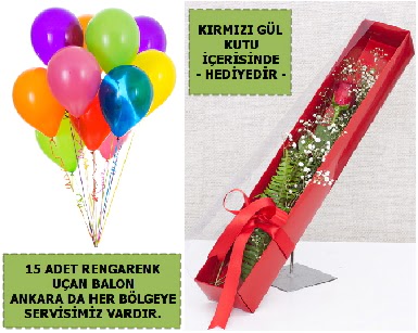 15 Adet uan balon ve kutuda krmz gl  Ankara Kkesat iek , ieki , iekilik 