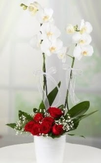 2 dall beyaz orkide 7 adet krmz gl  Ankara Kkesat 14 ubat sevgililer gn iek 