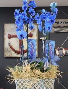 4 dall zel mavi orkide  Ankara Kkesat iek siparii vermek 
