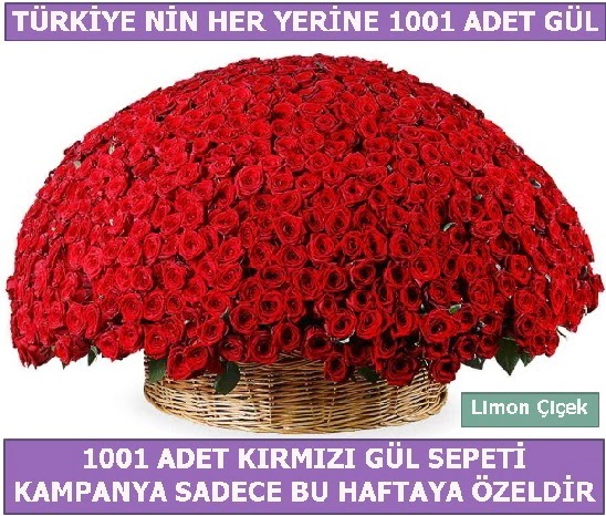 1001 Adet krmz gl Bu haftaya zel  Ankara Kkesat hediye iek yolla 
